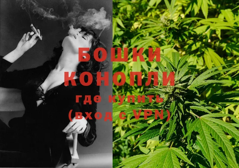 Конопля OG Kush  Велиж 